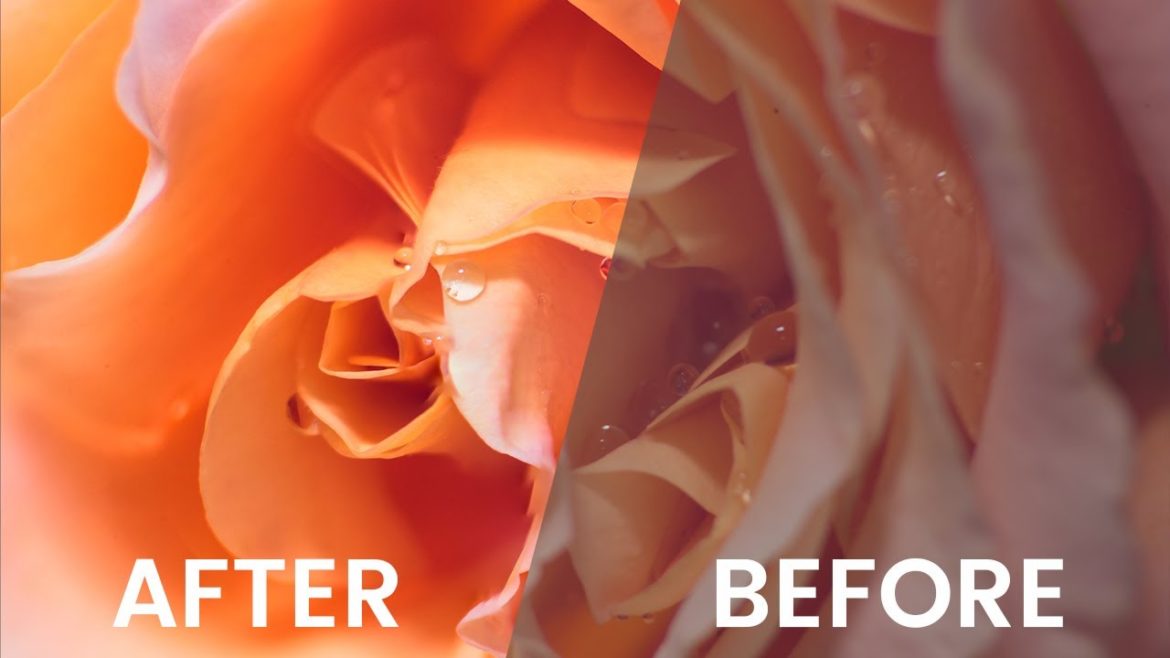 Adobe Review Focus Stacking Software